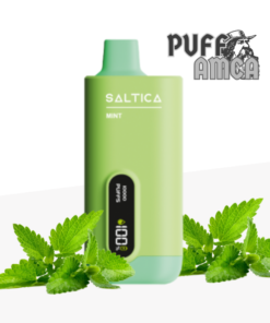 saltica 10000 mint puff pufamca.com