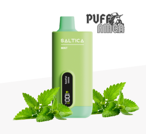 saltica 10000 mint puff pufamca.com