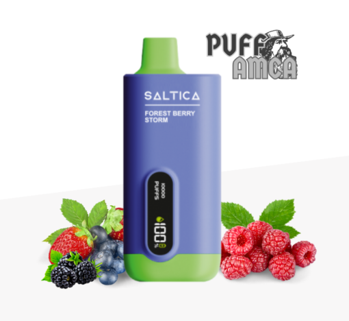 saltica 10000 forest berry storm puff pufamca.com