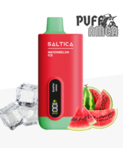 saltica 10000 puff pufamca.com