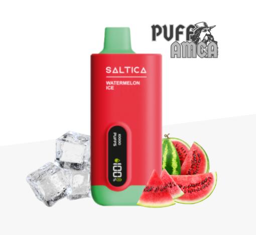 saltica 10000 puff pufamca.com