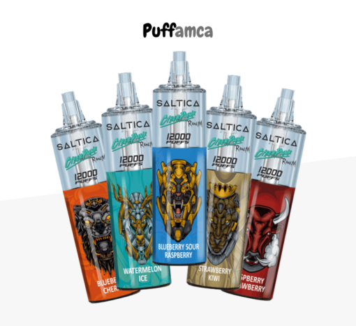 saltica 12000 puff pufamca.com
