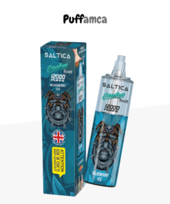 saltica 12000 puff pufamca.com