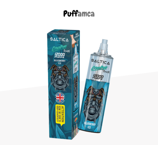 saltica 12000 puff pufamca.com