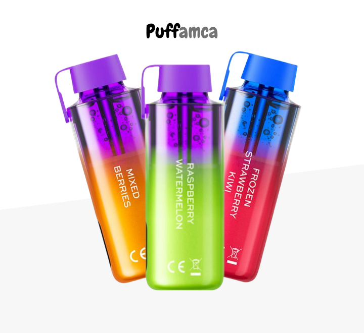 Vozol Neon 10000 Puff pufamca.com