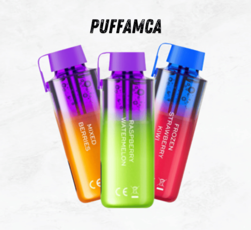 Vozol Neon 10000 Puff pufamca.com