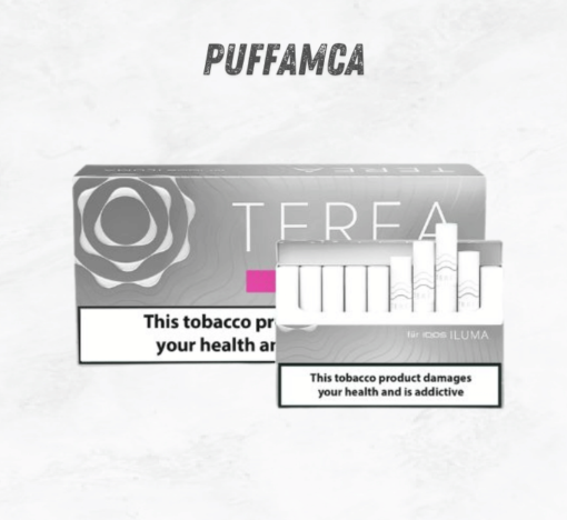 Iqos Terea Silver